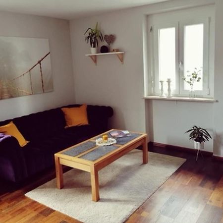 Wehr  Ferienwohnung Suedschwarzwald מראה חיצוני תמונה
